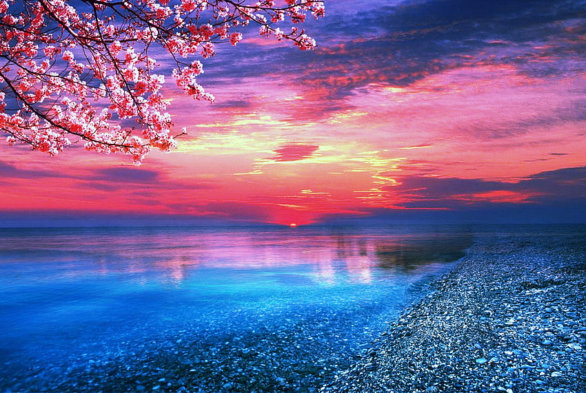 Do you like simple things?, blue, pink, pretty, nature, sunset, lake, tree, nice HD wallpaper