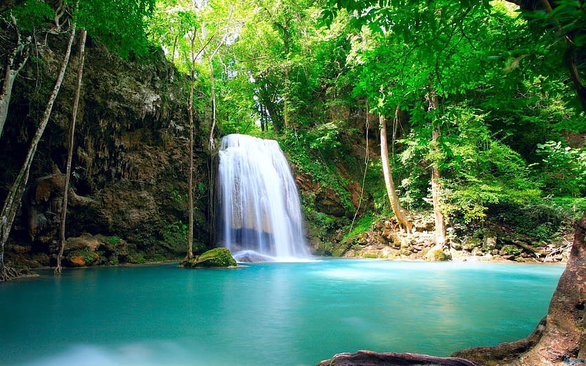 Tropical Rainforest Waterfalls. 1600×1000, Costa Rica HD wallpaper