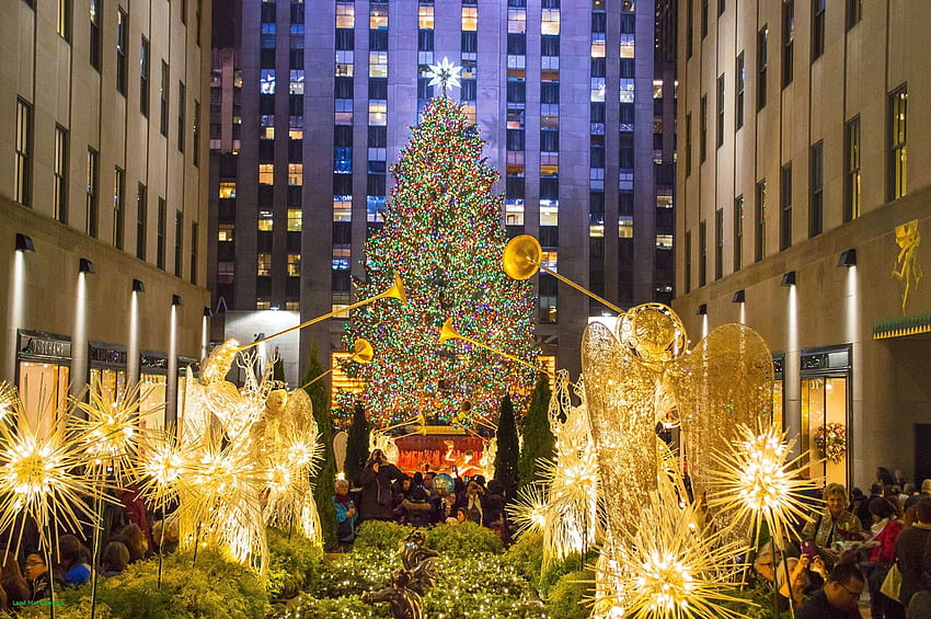 Rockefeller Christmas Tree 2018, Manhattan Christmas HD wallpaper