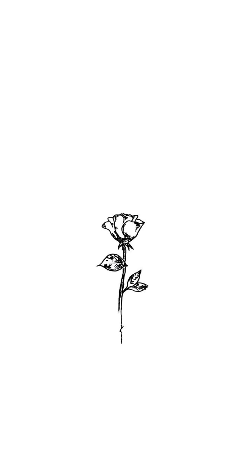 about black. See more about art, drawing and draw, Black and White Rose Drawing HD phone wallpaper