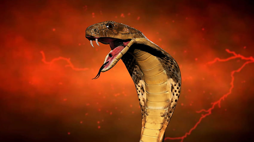 3d snakes HD wallpapers | Pxfuel