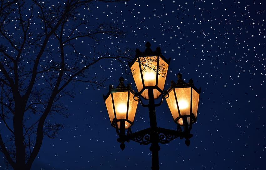 The sky, light, snow, night, branches, lights, tree, mood, vector, lights,  lantern, trio, snowfall, stars, lamppost for , section разное, Night Mood  HD wallpaper | Pxfuel