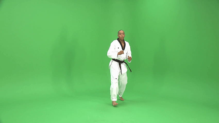 Tela Verde: Taekwondo faixa preta demonstra artes marciais papel de parede HD