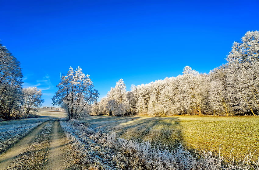 冬景色、冬、霜、風景、寒さ、美しい、風景、雪、木々、道、空 高画質の壁紙