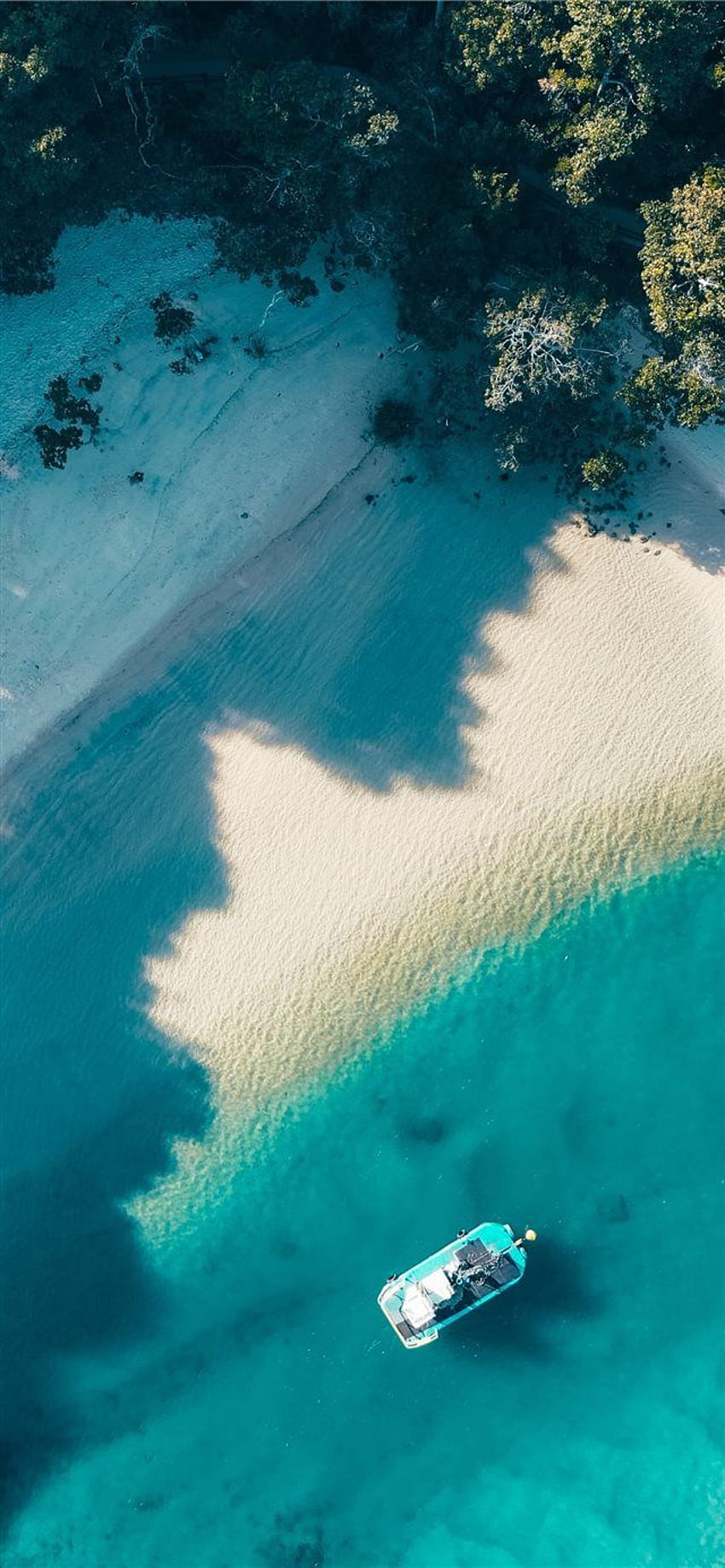 Best swimming beach in Australia iPhone X HD phone wallpaper