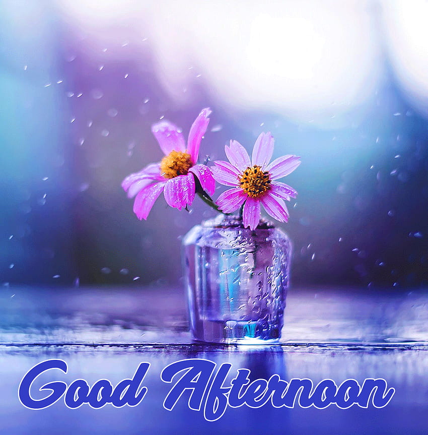 Süße Blumen Guten Tag, Schönen Guten Tag HD-Handy-Hintergrundbild
