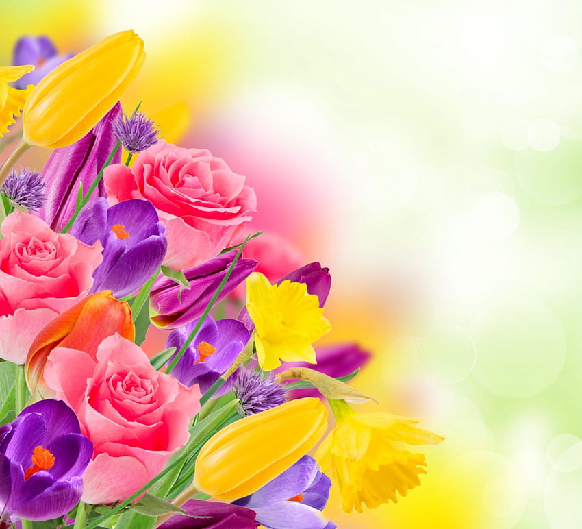 カラフルな花、カラフル、バラ、クロッカス、花、チューリップ、春 高画質の壁紙
