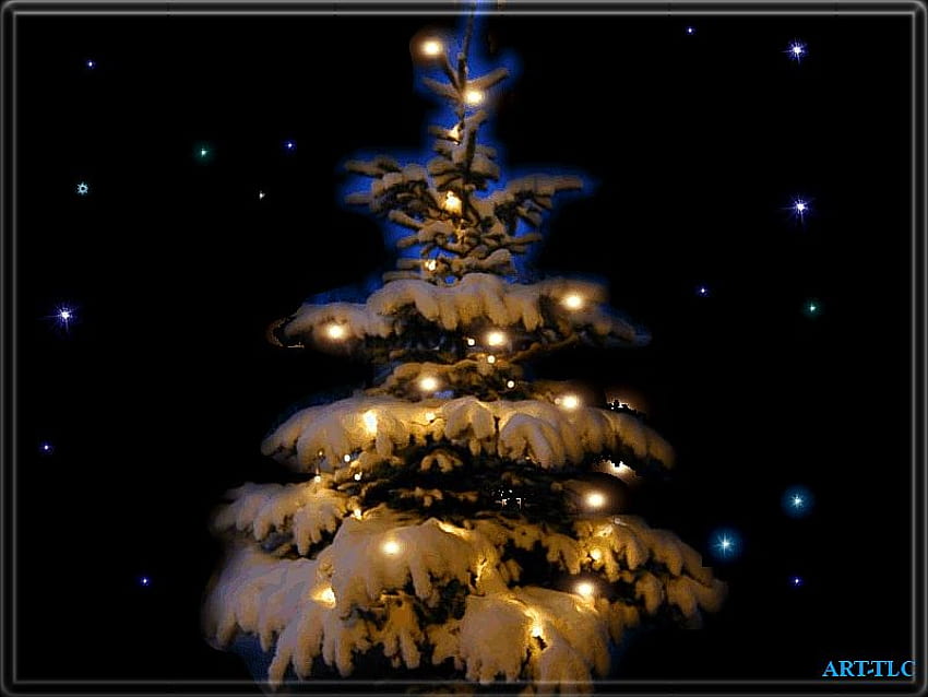 Lonely Christmas tree, night, lights, christmas, lonely, tree HD wallpaper