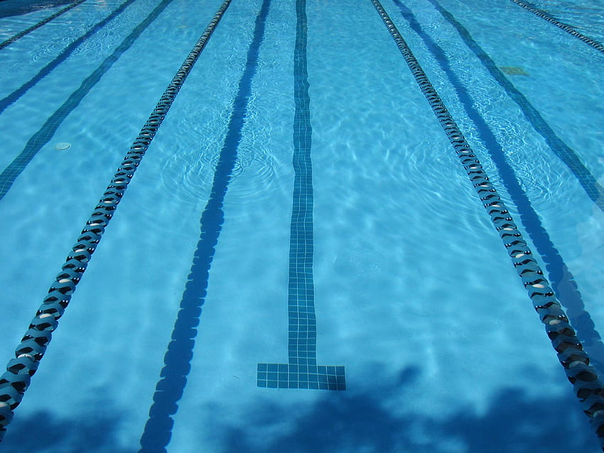 Swim Background. Adult Swim, Competitive Swimming HD wallpaper