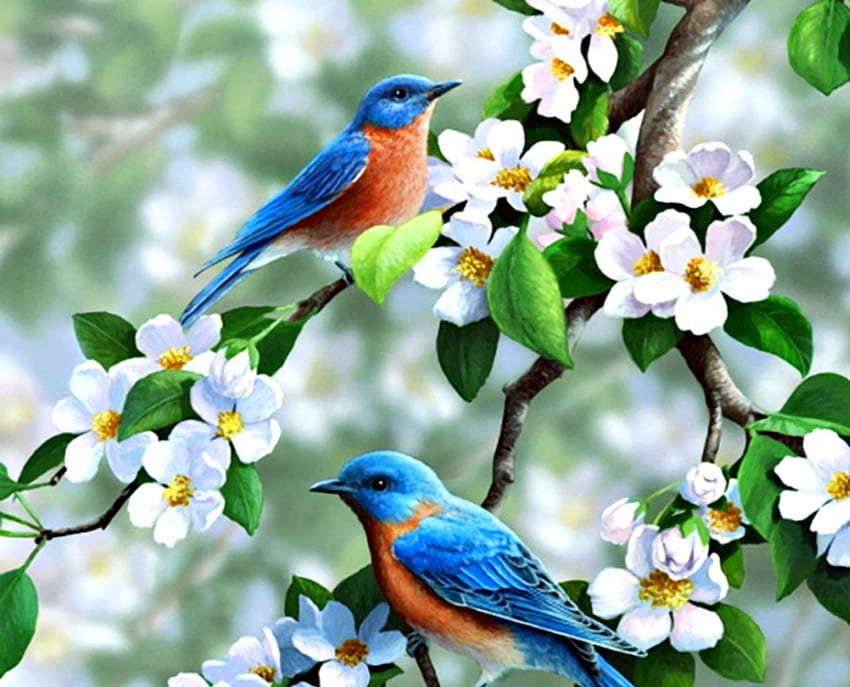 Pájaros, flores, primavera, animales. fondo de pantalla
