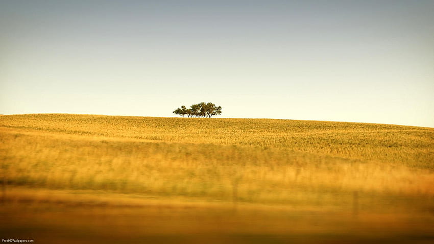 Prairie Bliss em Saskatchewan. Natureza da paisagem, paisagem, plano de fundo papel de parede HD