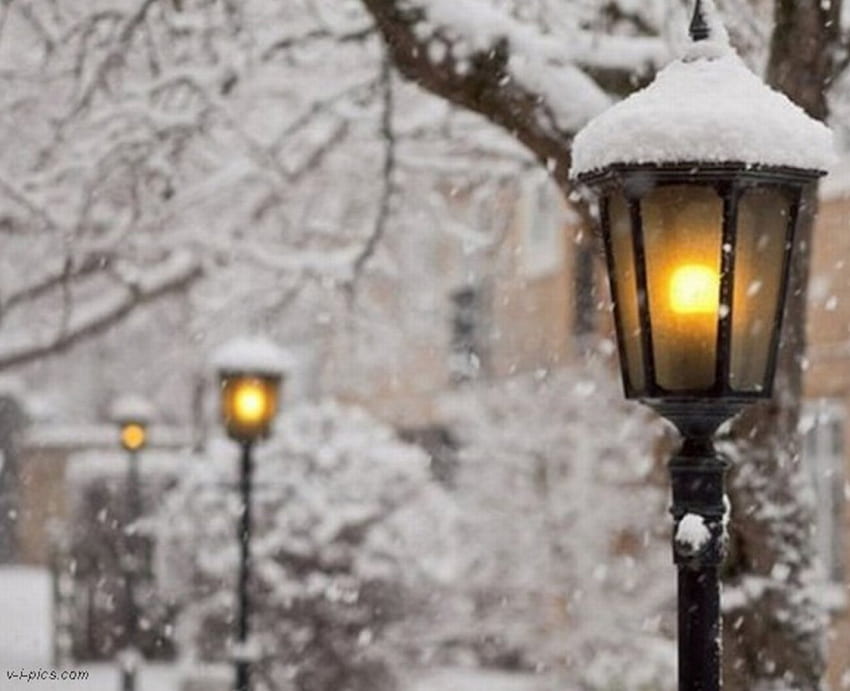 겨울 램프, 나무, 자연, 눈, 램프 HD 월페이퍼