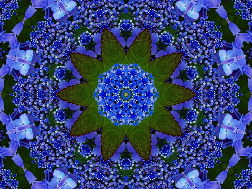 Калейдоскоп, синьо, цвете, природа, цветя HD тапет