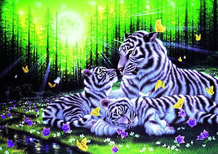 ครอบครัวเสือขาว ทารก สีขาว เสือ ครอบครัว วอลล์เปเปอร์ HD