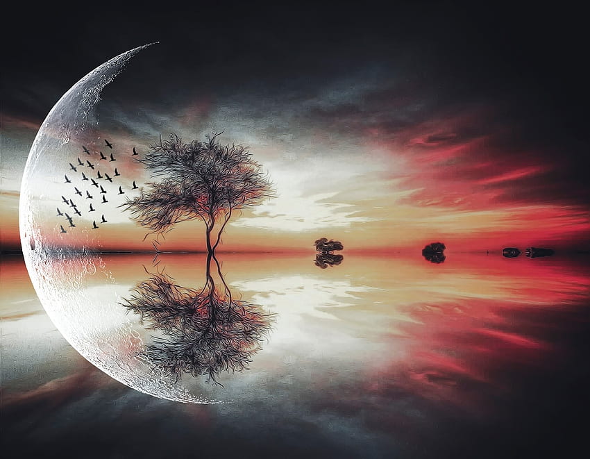 fantasy ptaki drzewa księżycowego Tapeta HD