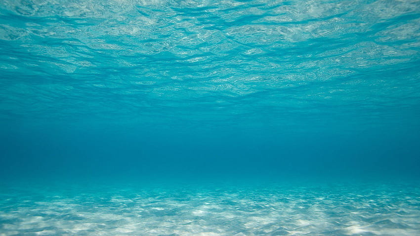 Sous l'eau, sous la mer Fond d'écran HD