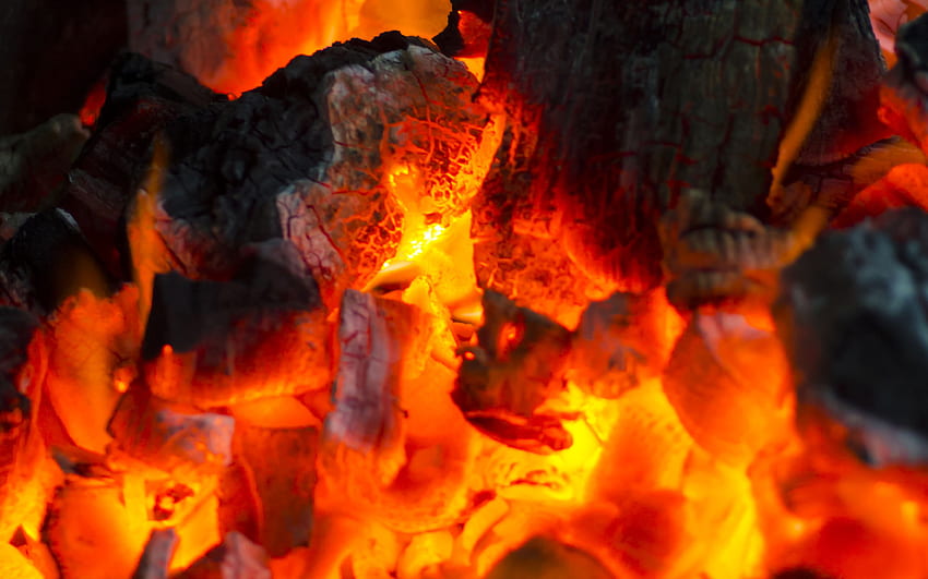 carboni ardenti, macro, carboni ardenti, falò, albero in fiamme, fuoco, carboni, trame di fuoco, trame di carbone ardente, con carboni ardenti Sfondo HD