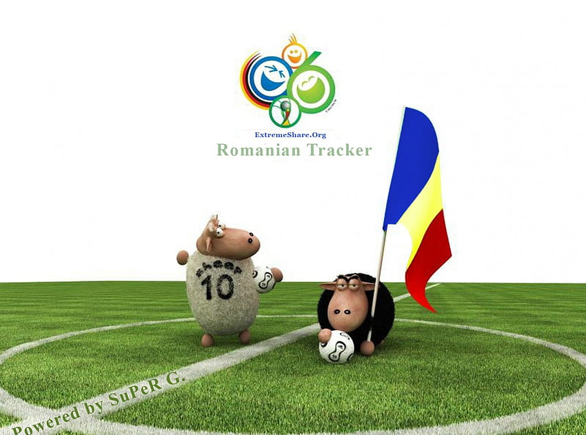 Romanian Sheep, romanian, animals, entertainment, sheep, funny HD wallpaper
