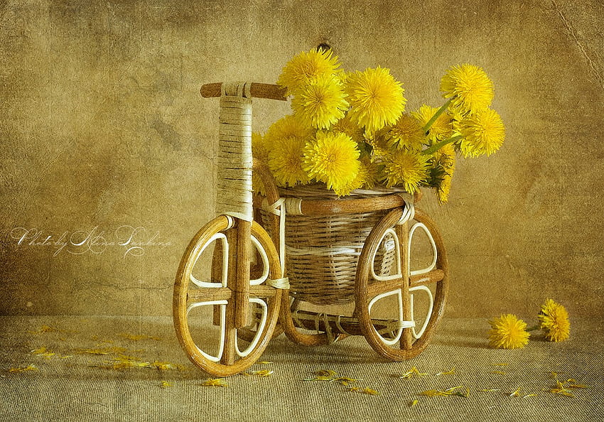 naturaleza muerta, ramo, grafía, rueda, hermoso, agradable, bicicleta, bonita, flor, amarillo, fresco, flores, encantador, armonía fondo de pantalla
