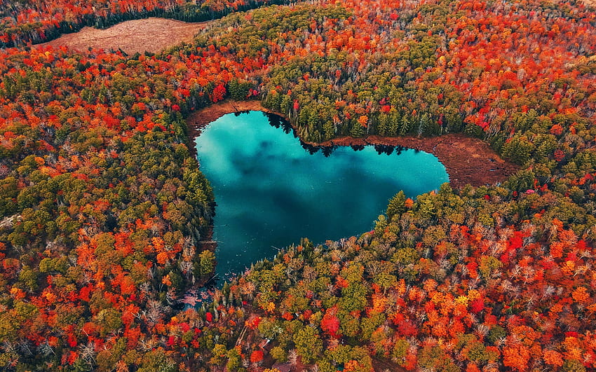 Heart lake, heard, red, autumn, nature, orange, tree, blue, view from the top, toamna, water HD wallpaper