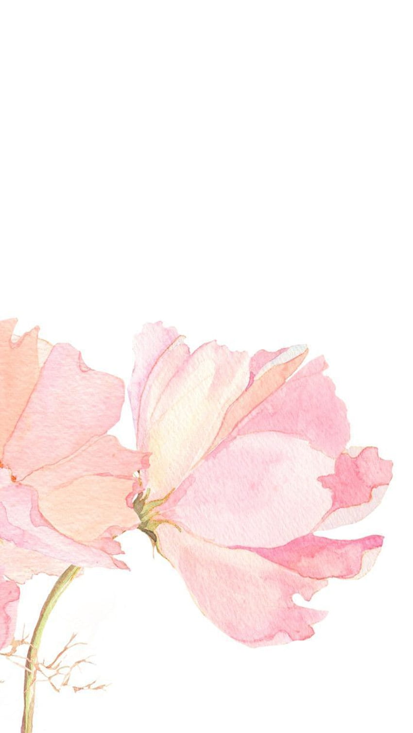 terbaik tentang Çiçek. Latar belakang gemerlap merah muda, Bunga Cat Air Sederhana wallpaper ponsel HD