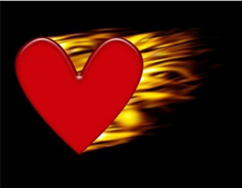Heart on fire, fire, red heart, love, flames HD wallpaper