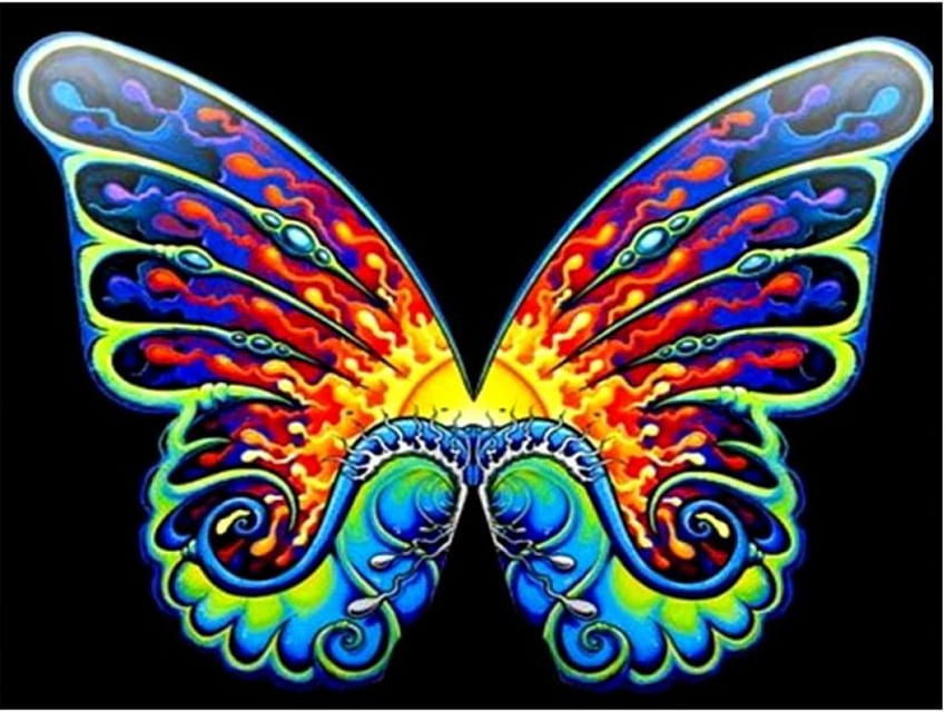 Vitrail aux couleurs vives, papillon, arc-en-ciel, art Fond d'écran HD