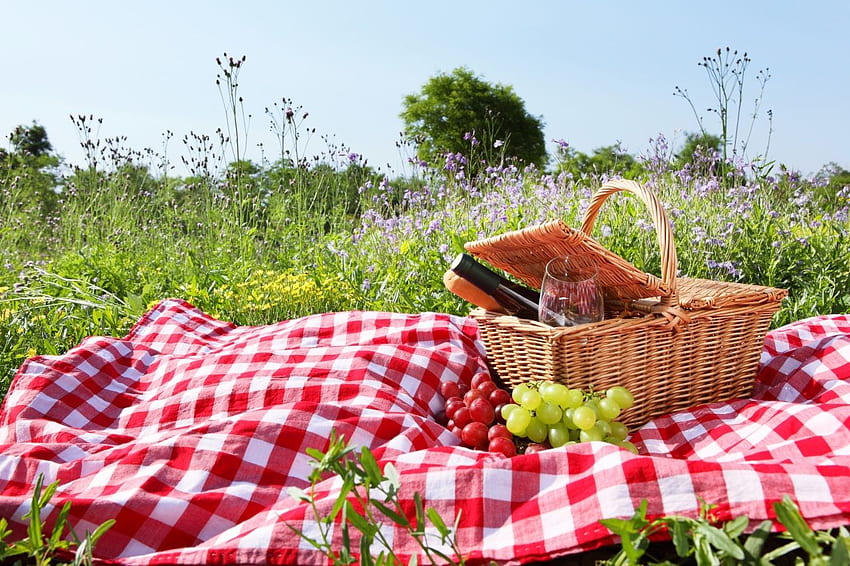 100+] Picnic Background s | Wallpapers.com