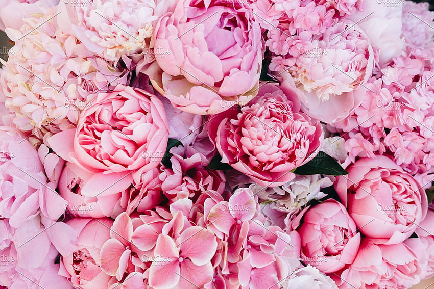 Hellrosa Pfingstrosen-Blumenstrauß, rosa Pfingstrose HD-Hintergrundbild