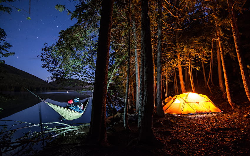 캠핑, 자연, 텐트, 숲 HD 월페이퍼