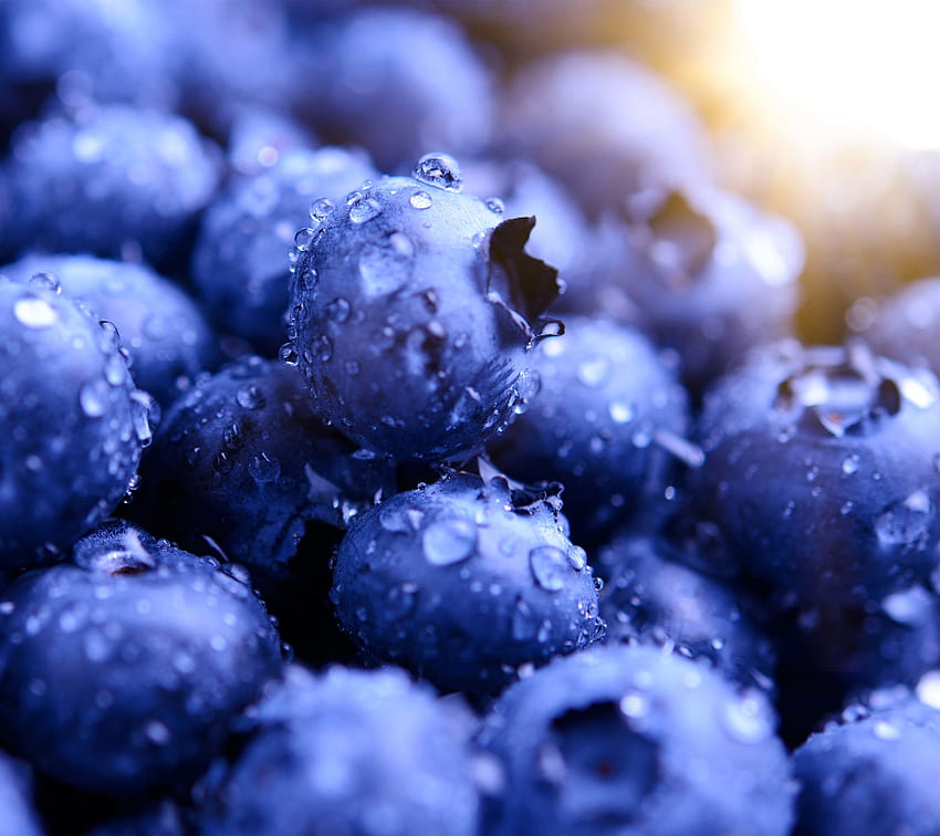 Blueberries, drops, macro HD wallpaper