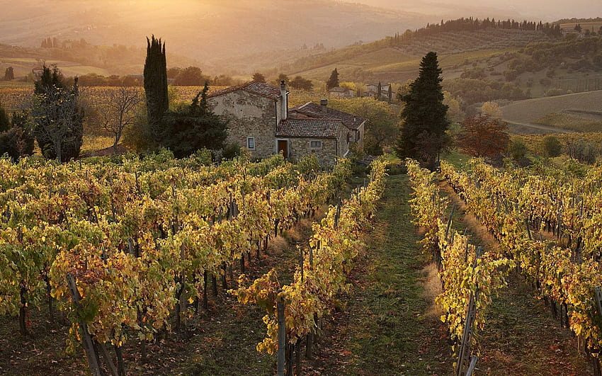 Dom wiejski i winnica Włochy . Farm House & Vineyard Włochy, kraj winnicy Tapeta HD