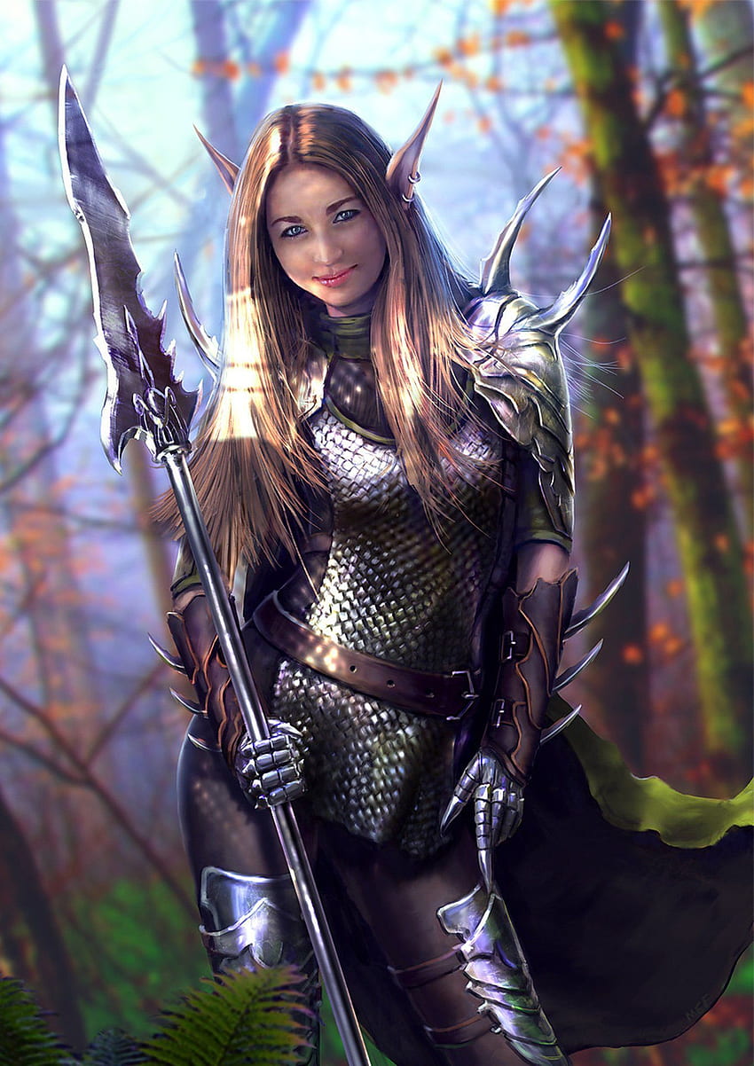 Fantasy armor elf girl warrior . . 746128. Female elf, Warrior girl ...