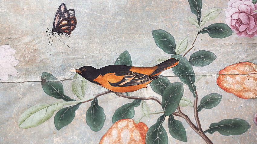 DIY For Aristocrats: Rare Audubon Prints Turned Into Fancy Pants, Bird Painting HD wallpaper