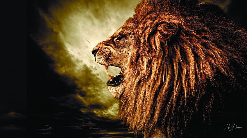 Roaring . Roaring Fireplace, Fierce Lion HD wallpaper