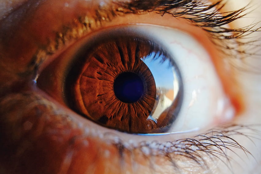 Macro, Glare, Close-Up, Brown, Eye, Pupil HD wallpaper