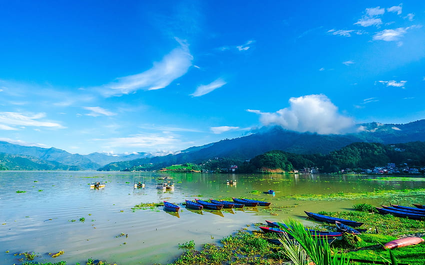 Jezioro Phewa, góry, lato, Phewa Tal, dolina Pokhara, Nepal, Azja z rozdzielczością. Wysoka jakość Tapeta HD