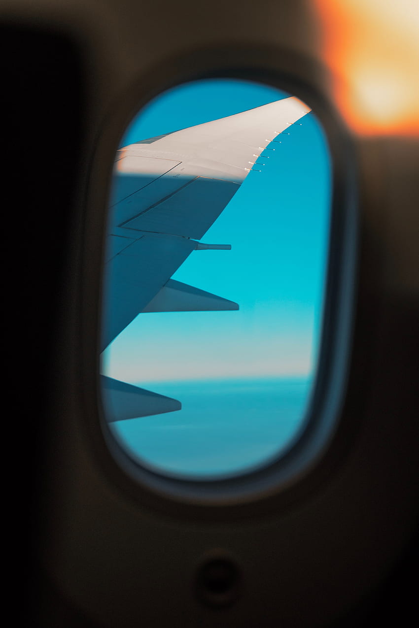 Window, Porthole, Wing, Plane, Airplane, View HD phone wallpaper
