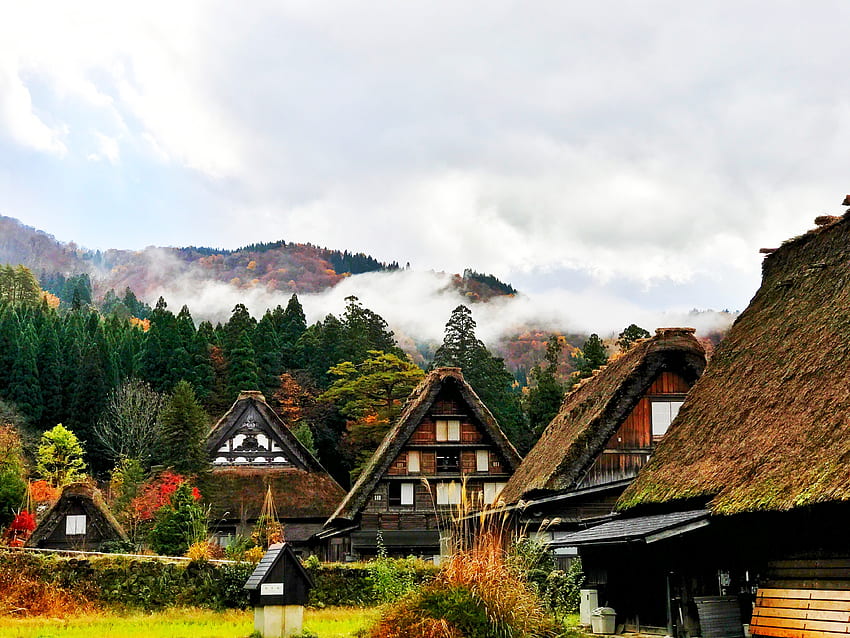 Japonia, miasta, domy, drzewa, góry, Shirakawa Tapeta HD