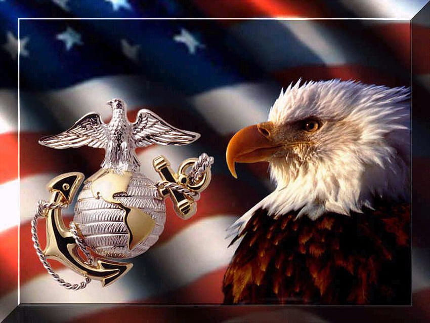 USMC, usmc, amerika serikat Wallpaper HD