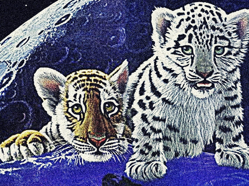 Family, animal, tiger, cute, nature, feline HD wallpaper