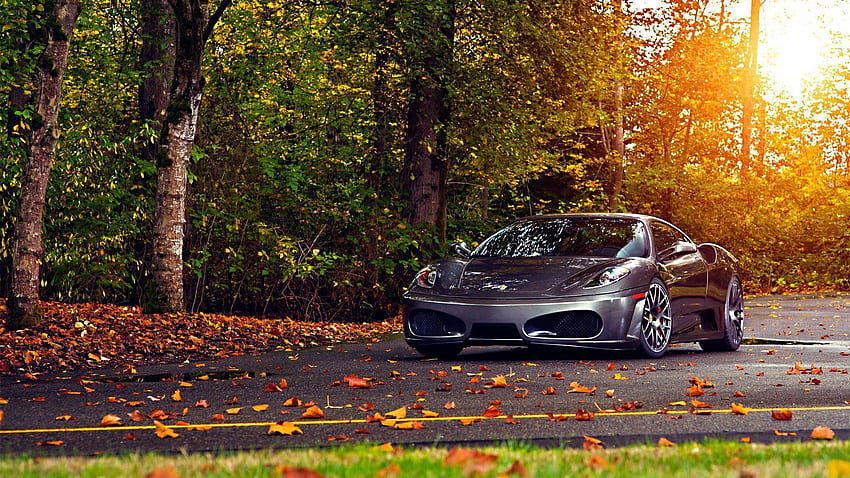 Drzewa, jesień, liście, Ferrari, samochody, Ferrari F430 Scuderia Tapeta HD