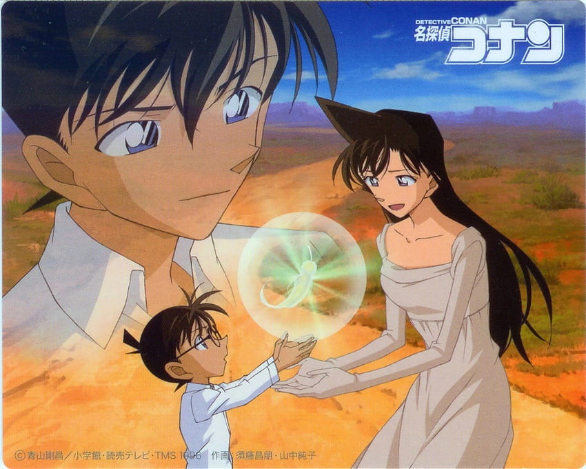 Título Anime Detective Conan Conan Edogawa - Detective Conan Shinichi X Ran - - fondo de pantalla