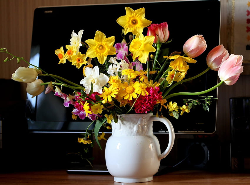Flowers, Tulips, Narcissussi, Hyacinth, Bouquet, Jug, Monitor HD wallpaper