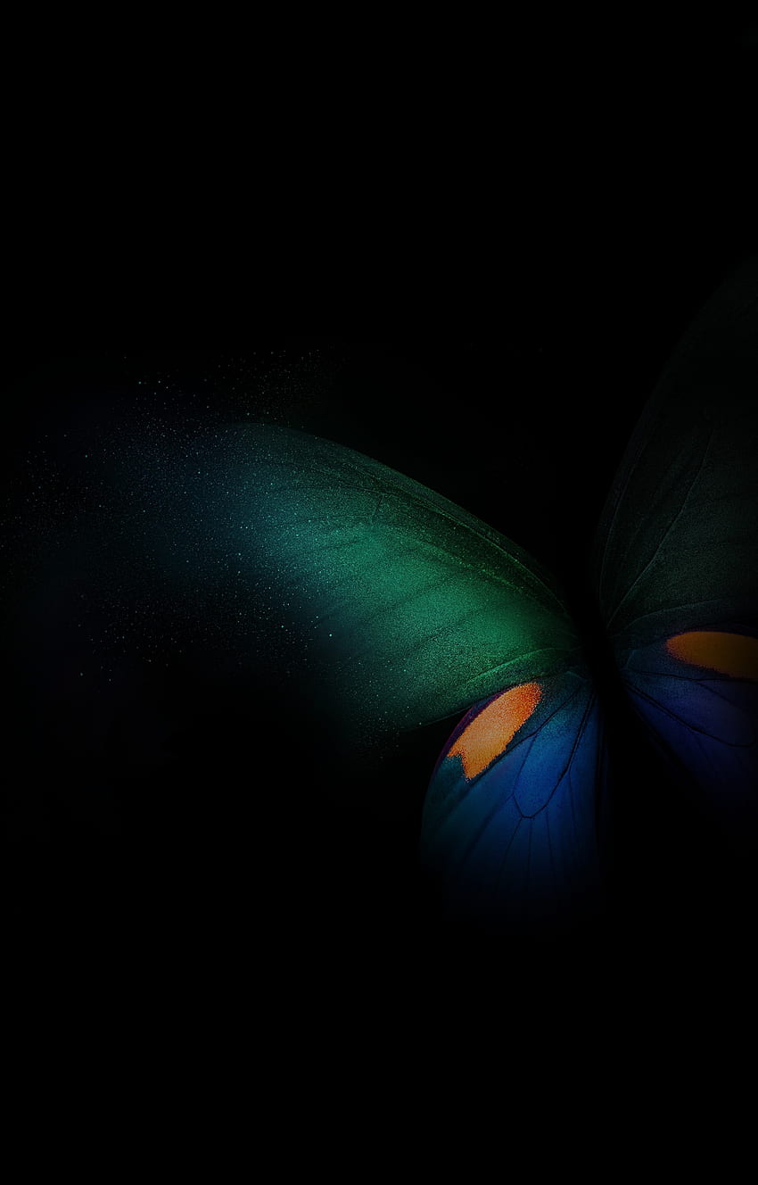 Samsung Galaxy Fold, mariposa, verde-azul-negro fondo de pantalla del teléfono
