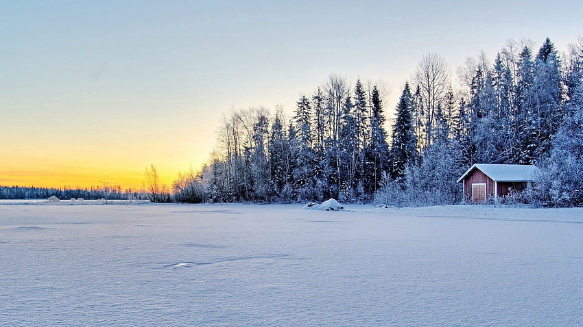 Natur, Bäume, Schnee, Gebäude, Feld HD-Hintergrundbild