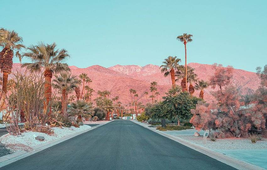 road, mountains, palm trees, street, ONCE UPON A TIME IN, California Palm Trees HD wallpaper