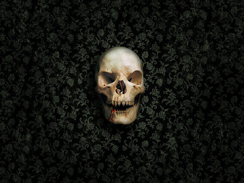 skull wallpaper hd 3d