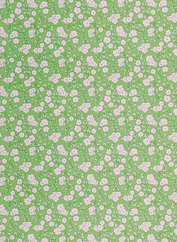 Floral in green HD wallpapers | Pxfuel