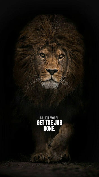 Lion quotes HD wallpapers | Pxfuel